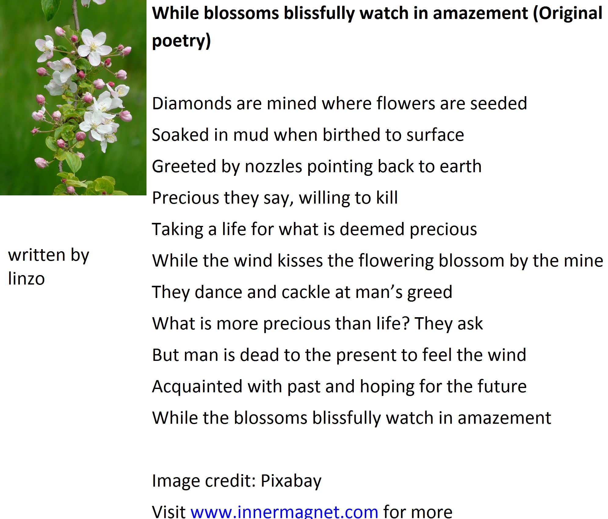 blossoms watch